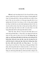 Giải pháp nâng cao chất lượng thẩm định tài  chính dự án đầu tư xây dựng làng quốc tế thăng long của tổng công ty xây dựng hà nội