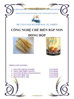 CÔNG NGHỆ SẢN XUẤT BẮP NON ĐÓNG HỘP