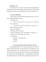 Hướng dẫn cách trình bày tiểu luận, đề tài nghiên cứu khoa học