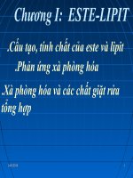 Bai 1 ESTE HOA HOC 12