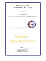 Giải phẫu động mạch nách CTUMP