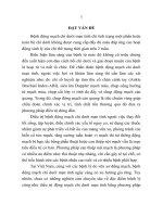 Nghiên cứu đặc điểm lâm sàng, cận lâm sàng và kết quả điều trị can thiệp nội mạch ở bệnh động mạch chi dưới mạn tính (TT)