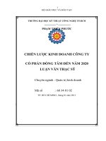 Chiến lược kinh doanh công ty cổ phần đồng tâm đến năm 2020 