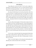 Ứng dụng phương pháp chiết khấu dòng tiền trong định giá  doanh nghiệp tại Công ty Kiểm toán Việt Nam