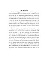 Nghiên cứu hành vi người tiêu dùng đối với mặt hàng ô tô tại Việt Nam