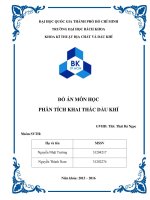 PHÂN TÍCH KHAI THÁC DẦU KHÍ BẰNG PHƯƠNG PHÁP GASLIFT