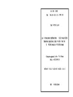 ĐẤU TRANH CHÍNH TRỊ Ở TÂY NGUYÊN TRONG KHÁNG CHIẾN CHỐNG MỸ TỪ NĂM1961 ĐẾN NĂM1968