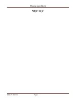 ứng dụng thương mại điện tử của tập đoàn Alibaba