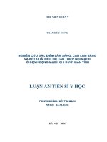 Nghiên cứu đặc điểm lâm sàng, cận lâm sàng và kết quả điều trị can thiệp nội mạch ở bệnh động mạch chi dưới mạn tính (full text)