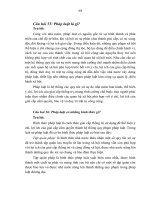 ĐỀ CƯƠNG HỎI ĐÁP CHI TIẾT PHẦN PHÁP LUẬT - MÔN NHÀ NƯỚC VÀ PHÁP LUẬT