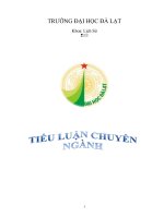 QUAN HỆ NGOẠI GIAO GIỮA VIỆT NAM VÀ TRUNG QUỐC TRÊN BIỂN ĐÔNG