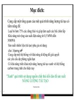 Thuyết minh công nghệ sản xuất năng lượng tái tạo xanh