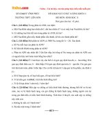 Đề thi khảo sát chất lượng môn Sinh học lớp 11 trường THPT Liễn Sơn, Vĩnh Phúc năm học 2015 - 2016