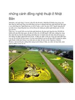 Du lịch nhật bản những cánh đồng nghệ thuật ở nhật bản 