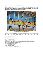 Từ vựng tiếng nhật về các môn thể thao dùng bóng 