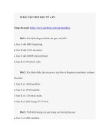 28 bai tap ve adn co ban