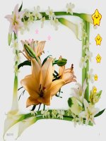 Bai 13  dai cuong ve polime