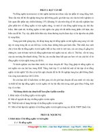 SKKN HAY   tiếng anh 10   đỗ văn bình   thư viện giáo án điện tử 