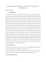 GIÀ HÓA DÂN SỐ Ở VIỆT NAM VÀ VAI TRÒ CỦA AN SINH XÃ HỘI VỚI NGƯỜI CAO TUỔI