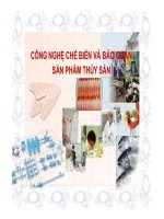 CN che bien va bao quan thuy san_Tham khao_Lite