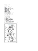 Từ vựng bộ phận cơ thể người 