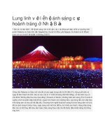 Giới thiệu nhật bản lễ hội ánh sáng cực hoành tráng ở nhật bản 