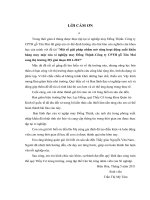 Những giải pháp nhằm mở rộng hoạt động xuất khẩu hàng may mặc của xí nghiệp may đồng thịnh công ty cổ phần tổng hợp gỗ tân mai sang thị trường mỹ giai đoạn 2011   2017 