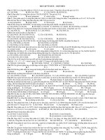 BÀI tập về ESTE trong ottn