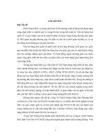 Nâng cao hiệu quả hoạt động giao nhận bằng đường hàng không tại Công ty TNHH Thương mại và Dịch Vụ Việt Tân VITACO