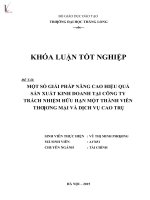 Một số giải pháp nâng cao hiệu quả sản xuất kinh doanh tại công ty trách nhiệm hữu hạn một thành viên thương mại và dịch vụ cao trụ 