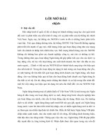 Thực trạng hoạt động tín dụng và một số giải pháp nâng cao chất lượng tín dụng tại Ngân hàng TMCP VIB – PGD Đinh Tiên Hoàng