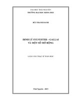 Định lý Sylvester  Gallai và một số mở rộng