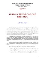 Duy Ma Cật Trực Chỉ Đề Cương. HT Thích Từ Thông