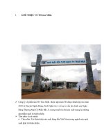 Phân tích kênh phân phối TH true Milk