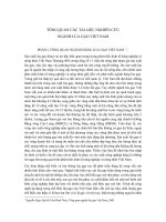 TỔNG QUAN CÁC TÀI LIỆU NGHIÊN CỨU NGÀNH LÚA GẠO VIỆT NAM