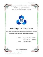 Xây dựng mô hình trưởng thành của vật liệu hữu cơ theo mặt cắt AB bồn trũng cửu long bằng phân mềm PETROMOD