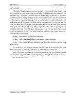 Đồ án môn học Chiến lược Marketing Hoàn thiện chiến lược marketing cho công ty Biscafun