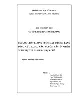 Báo cáo môn học Cơ sở khoa học môi trường Chất lượng nước mặt ở đồng bằng Sông Cửu Long các nguồn gây ô nhiễm nước mặt và giải pháp hạn chế