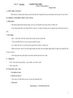 Giáo án bài Chị em Thúy Kiều