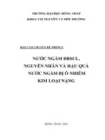 Báo cáo chuyên đề Nước ngầm ĐBSCL nguyên nhân và hậu quả nước ngầm bị ô nhiễm kim loại nặng