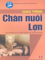 giao trinh chan nuoi lon .pdf