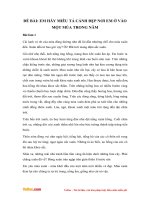 Văn mẫu lớp 5: Miêu tả cảnh đẹp nơi em ở vào một mùa trong năm