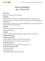 Giáo án Sinh học 7 bài Sán lá gan