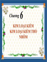 Bai 25 kim loai kiem va hop chat quan trong cua kim loai kiem