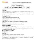 Giáo án Sinh học 8 bài Cấu tạo và tính chất của xương