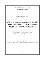 Đào tạo nguồn nhân lực tại ngân hàng TMCP đầu tư và phát triển việt nam chi nhánh đăk lăk 