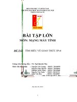 BTL Mạng Máy Tính  Tìm hiểu về Ipv6  Bách Khoa