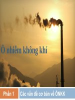 Tiểu luận khoa học môi trường