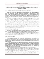 đồ án mẫu cung cap diẹn