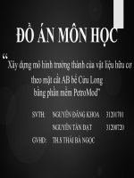 Báo cáo xây dựng mô hình trưởng thành của vật liệu hữu cơ theo mặt cắt AB bồn trũng cửu long bằng phân mềm PETROMOD